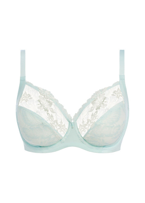 Wacoal Bra in Divine