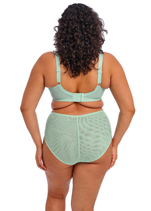 Elomi Brianna Brief in Mint