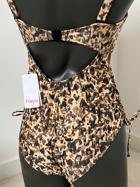 Freya Non Wired Swimsuit in Arizona Wave