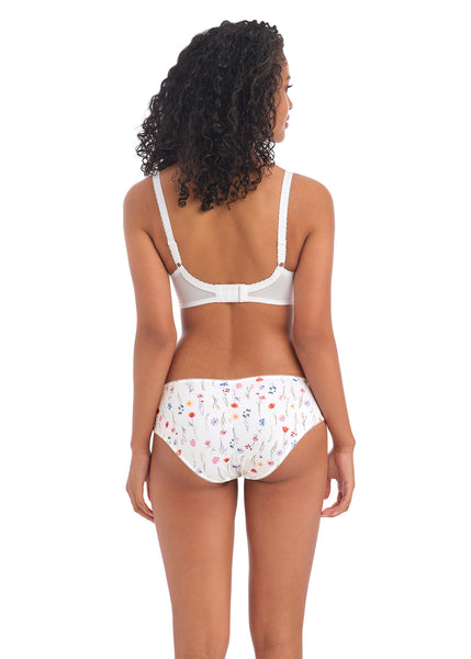 Daydreaming Brief